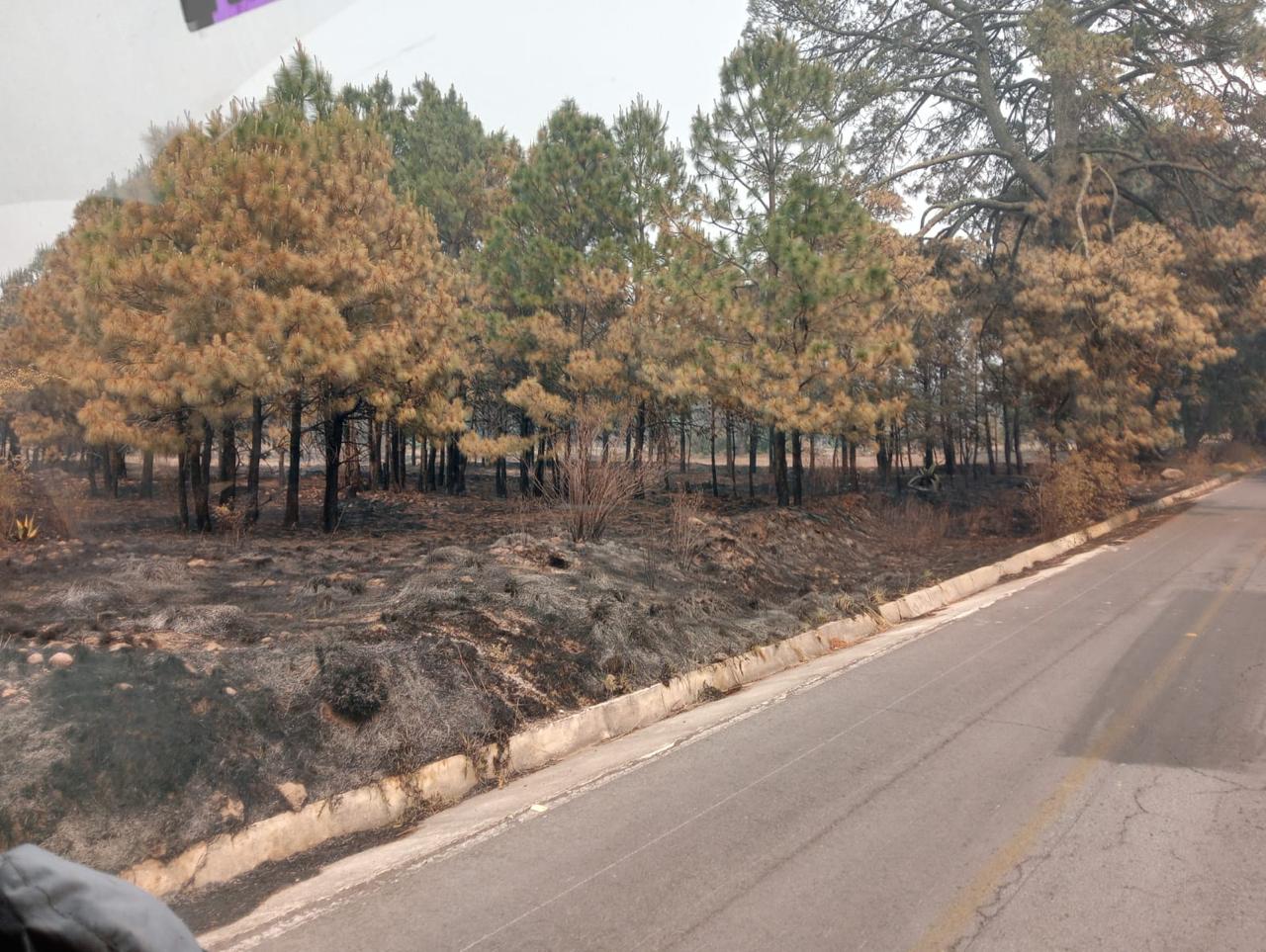 Gestiona gobierno de Tlaxcala apoyo de helicópteros para combatir incendio